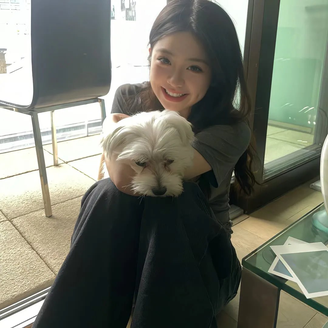 犹太狮子