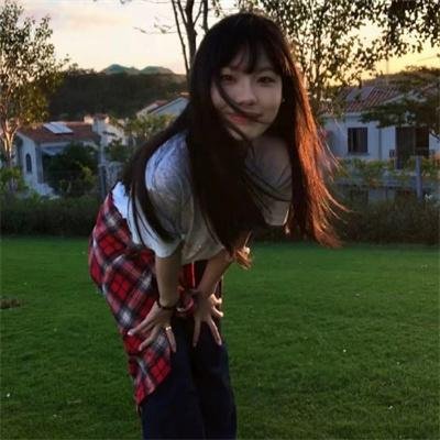 画鸡